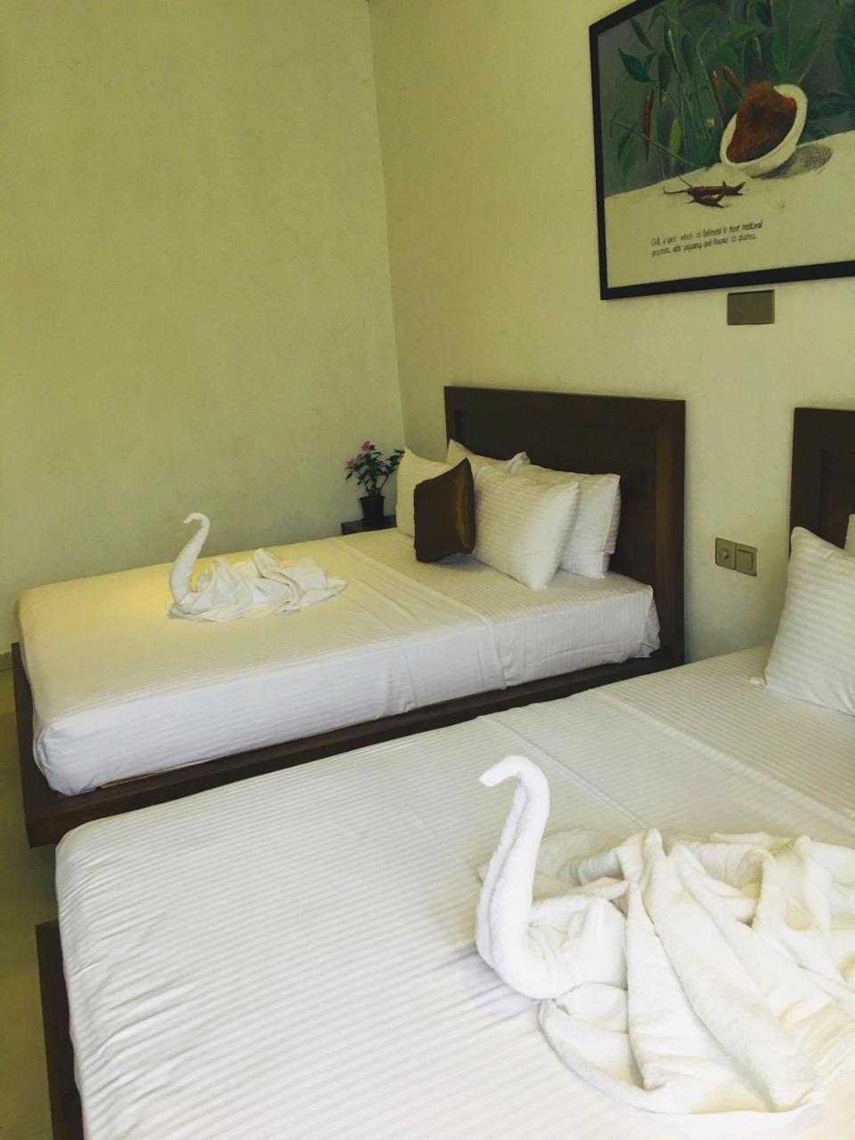 Hotel Spice Ella Zewnętrze zdjęcie
